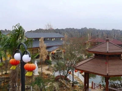 养生福地：杏林大观园