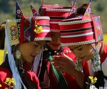 石林深处彩蝶飞