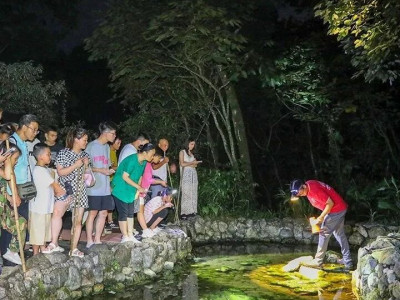 限时体验！夜探峨眉山，寻蛙觅蛇、奇遇自然，你准备好了吗？