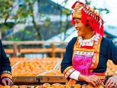 平乐柿饼技艺如何成为自治区非遗瑰宝？揭秘背后故事！