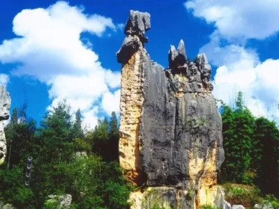 造化钟神秀：石林风景名胜区