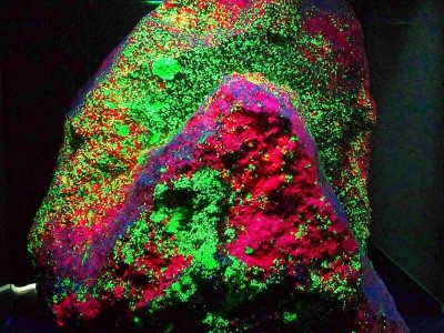 【石林真奇妙】奇珍异宝博物馆