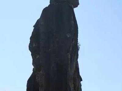 悠游石林：奇石森林万物生