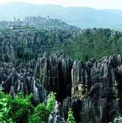 石头里的秘密：乃古石林的颜色为什么是黑的？