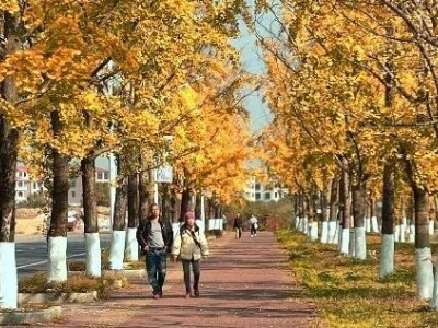 要开挂了！桂林山水即将迎来颜值巅峰，错过再等一年！