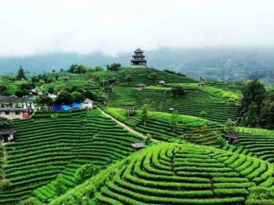 【同心克难 改革向新 重振柳州】凝心聚力担使命 啜苦咽甘启新程