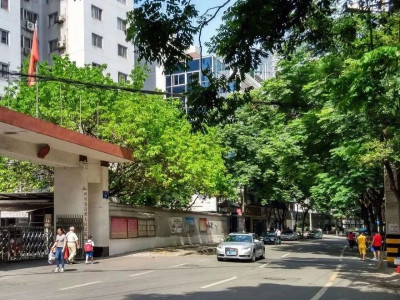 跟着李劼人，了解成都的老街之正府街