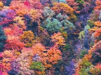 川西赏秋，这个地方不得不服！