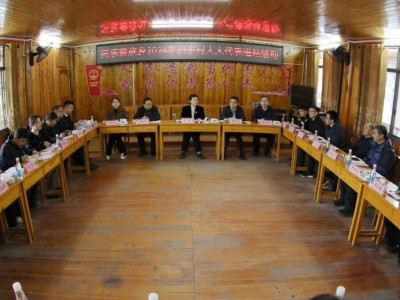 贺莹到同乐苗族乡归东村人大代表联络站开展进站履职活动