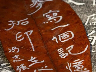 秋日来信 | 我们的村民在叶子上写了诗