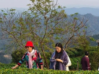 港澳台作家代表到三江采风