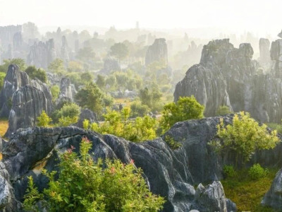 冬雾石林，氤氲中的唯美奇境