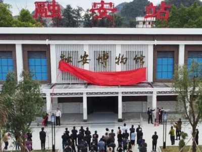 融安博物馆揭牌，咱们融安也有这么多“宝贝”！