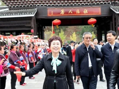 中国老教授协会盛赞风情三江，畅游秘境程阳