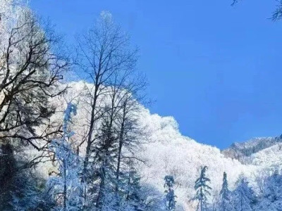 雪季狂欢倒计时！羌人谷滑雪场最强游玩攻略奉上（含吃住行娱）