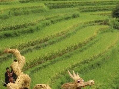 上新啦！恭城两个项目入选市级非遗！速来围观→