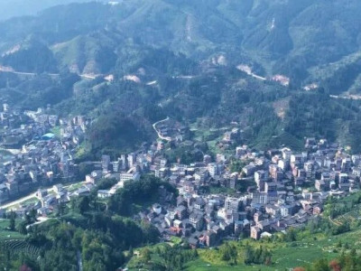 “数字”赋能“积分”助力  打造乡村治理新样板——独峒镇平流村开展乡村治理工作侧记