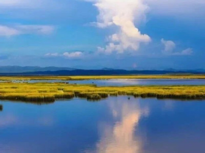 四川推进生态保护修复助推长江黄河上游重要生态屏障建设