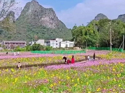 草坪回族乡新晋网红打卡点——江畔房车营地