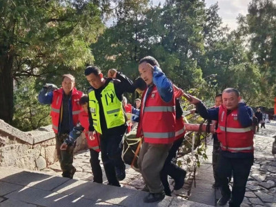 泰山醉心园种树：“美化泰山”的绿色行动