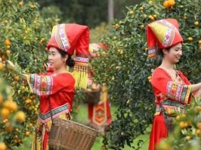 冬游柳州去融安，“融”进23°甜的冬天