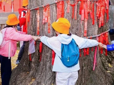 一起保护古树名木，感谢每一个参与的你！