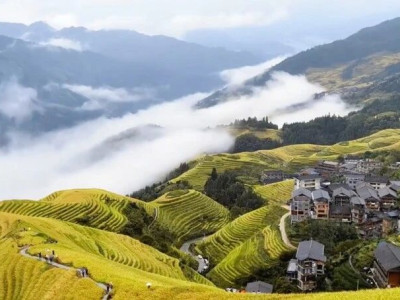 入眼尽是山川美景，踏入便是人间烟火——梯田上的诗意栖居