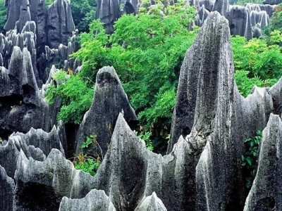 喀斯特名称的由来