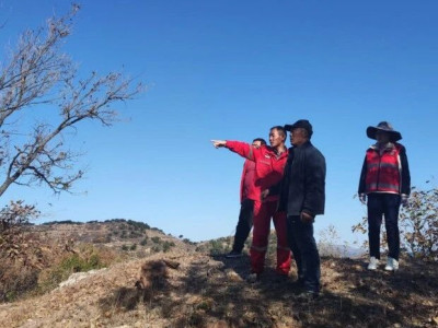 巴山管理区保质保量完成防火隔离带及林地清理任务