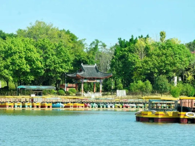 冬游柳州 | 到园博园里晒场太阳，刷新一下自己的保质期