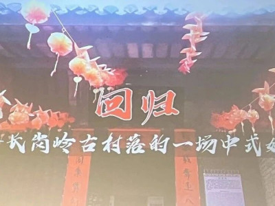 《回归——长岗岭古村落的一场中式婚礼》获“2024广西民族志影展暨非遗影像展”文化遗产贡献奖