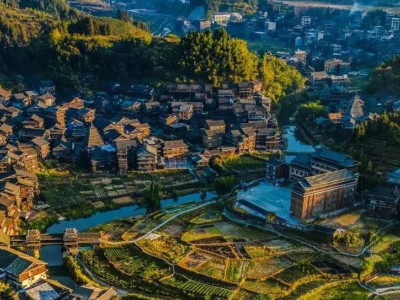 2024年柳州市文化广电和旅游品牌创建成果