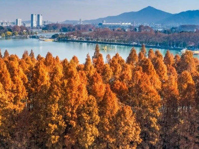 2024年最后一个月，玄武湖这样安排！