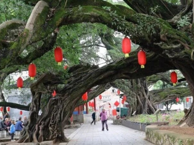 我夸桂林平乐千万遍 不如这个冬天你亲自踏足看一眼