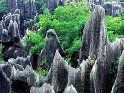 大石林的特色景观——剑状石林