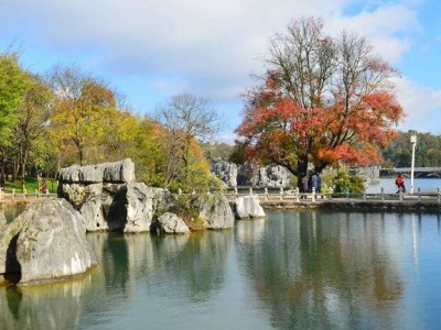 明媚冬日，石林寻美之旅