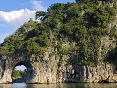 这样有趣的象鼻山家族  你有打卡过吗