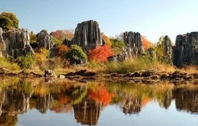 暖冬石林 出游正好