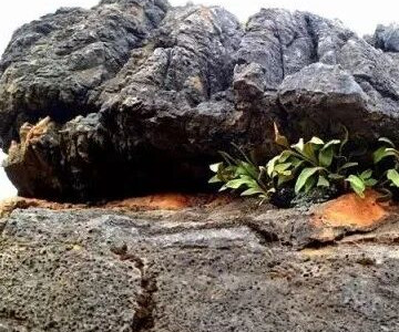 石林的石头为什么会有多种颜色