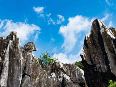 明媚冬日，温暖舒爽，总要来次玉石林