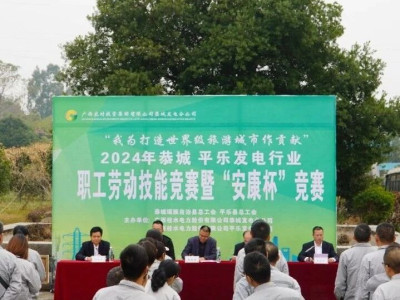 2024年恭城、平乐发电行业职工劳动技能竞赛暨“安康杯”竞赛成功举行