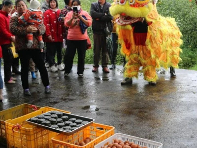 非物质文化遗产 ▏荔浦社日习俗