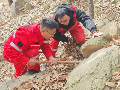 玉泉寺管理区开展越冬虫情调查 强化林业有害生物预测