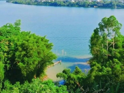 太避世了，鱼峰区洛埠镇终于被挖到了