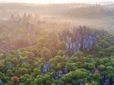 【美好石林】初冬的轻寒与薄雾