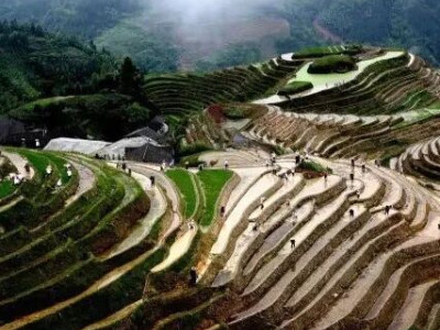 民族艺术焕发无穷魅力！著名导演盛赞桂林此地