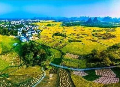 会仙“板鸭圩”即将启幕 乡村狂欢宴等您来