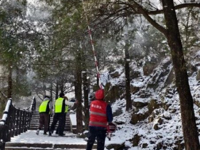 玉泉寺管理区迎雪而上清积雪 保护古树名木安全
