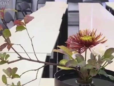 桂林插花艺术：璀璨非遗 绽放新姿