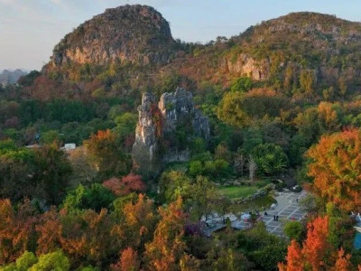 醉了醉了！桂林这份浪漫，错过再等一年！